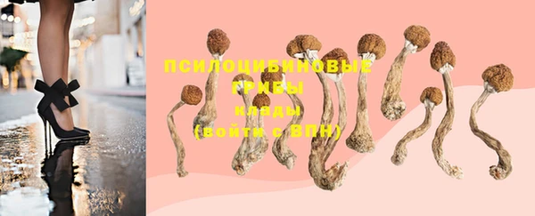 метадон Верея
