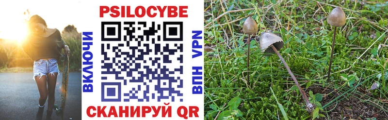 Псилоцибиновые грибы GOLDEN TEACHER Пошехонье